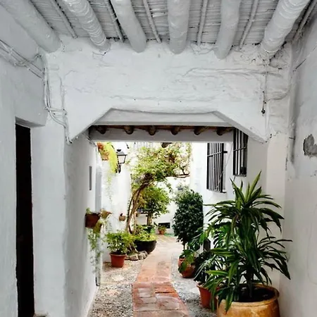 Olivo 15h Frigiliana